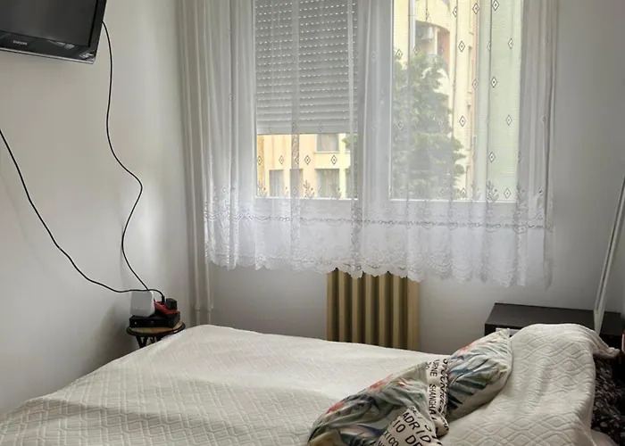 Kedves Kucko A Belvarosban *