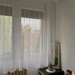 Kedves Kucko A Belvarosban Szeged