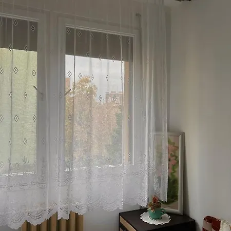 Kedves Kucko A Belvarosban Szeged